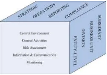 Figure 1. COSO Internal Control Framework 