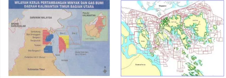 Gambar 3.   Persil-persil laut: ijin-ijin penambangan pasir laut di Riau (kanan) dan blok-blok penambangan minyak dasar laut (blok Ambalat) di wilayah perbatasan antara Kalimantan Timur dan Sarawak, Malaysia  (Rais, 2002a;  dan KOMPAS, 1 November 2004) 