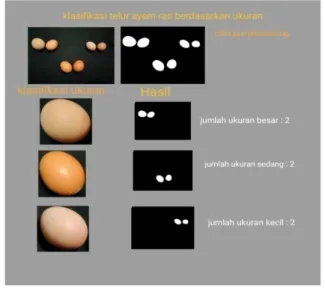 Gambar 8 merupakan salah  satu proses klasifikasi  yang berhasil dilakukan,  mulai dari proses  pre-processing, segmentasi telur, sampai penghitungan  jumlah telur ayam ras berdasarkan ukuran