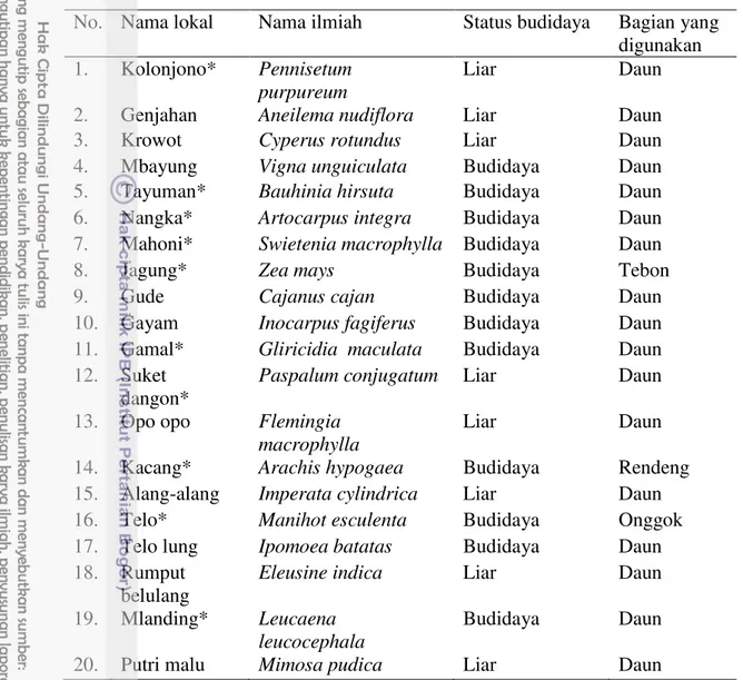 Tabel 10  Potensi tumbuhan penghasil pakan ternak di SM Paliyan  No.  Nama lokal  Nama ilmiah  Status budidaya  Bagian yang 