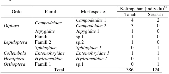 Tabel 4  Biodiversitas insekta tanah antar tegakan  