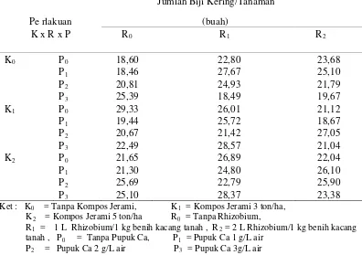 Tabel 11. Jumlah  biji kering/tanaman kacang tanah pada berbagai perlakuan kompos jerami padi, rhizobium dan  pupuk Ca (Kalsium) 