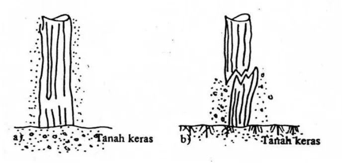 Gambar 2.2 Tiang pancang kayu                                          Sumber : Bowles, 1991 