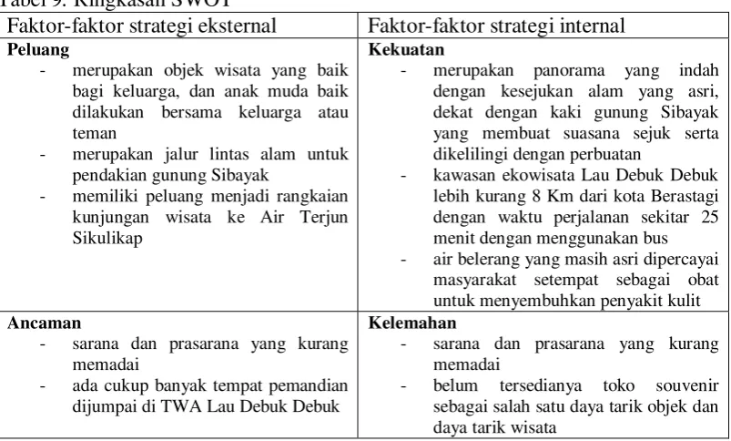 Tabel 9. Ringkasan SWOT 