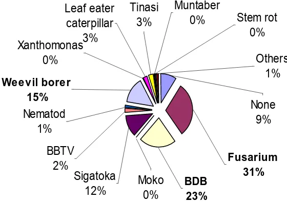 Figure 4. Major pests and diseases of banana production in Indonesia 