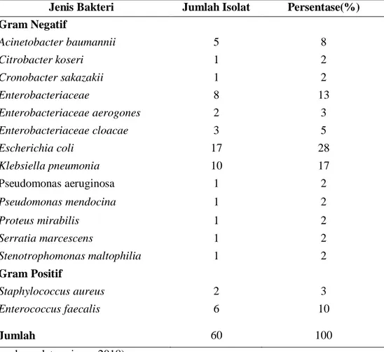 Tabel  4.  Distribusi  bakteri  hasil  kultur  urin  pasien  ISK  di  RSUD  Prof.  Dr