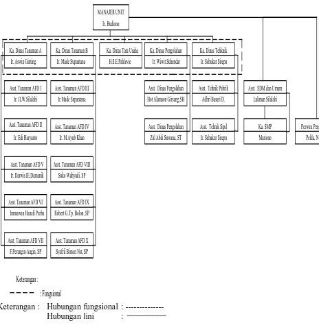 Gambar 2.1. Struktur Organisasi PKS Pasir Mandoge 