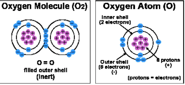Gambar 2.1. Struktur Kimia Radikal Bebas  