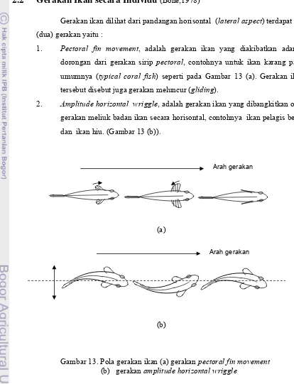 Gambar 13. Pola gerakan ikan (a) gerakan pectoral fin movement   