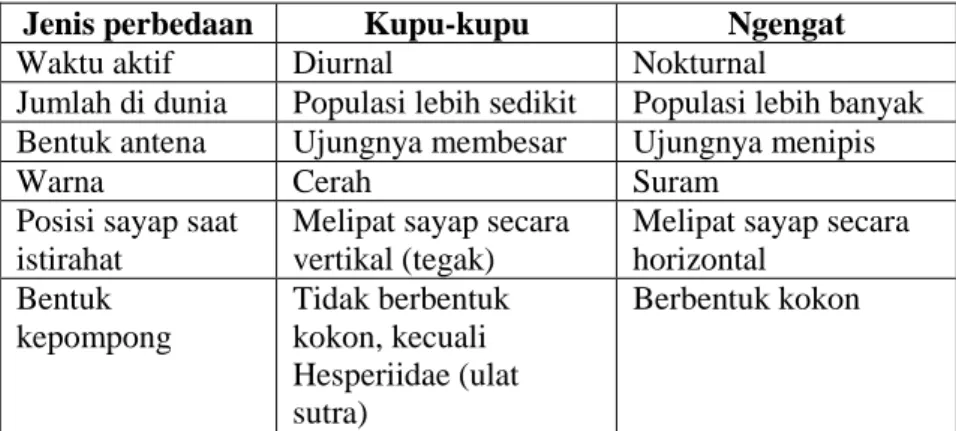 Tabel 2.1 Perbedaan Kupu-kupu dan Ngengat 8