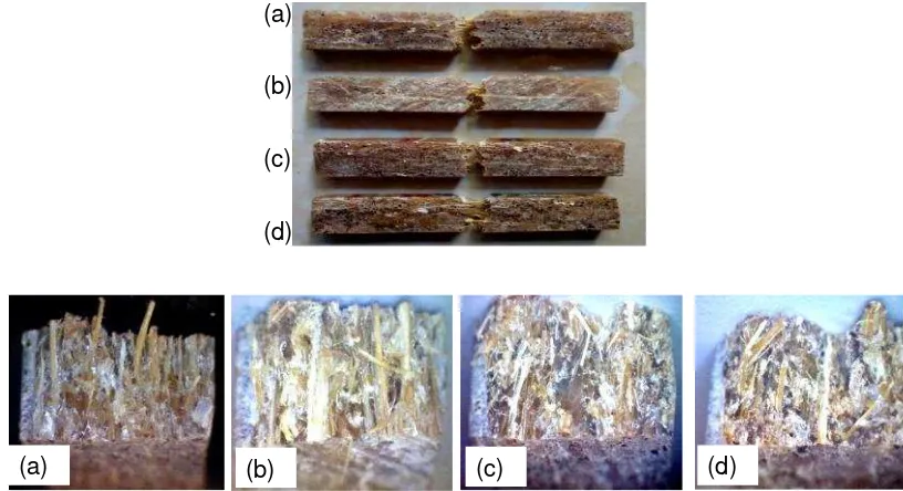 Gambar 7. Foto kegagalan spesimen uji impak komposit serat bambu polyester untukfraksi volume sekam padi (a) 0%, (b) 10%, (c) 20% and (30%)