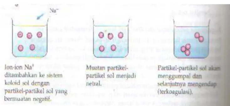 Gambar 1.4. Koagulasi Koloid  5.  Koloid Liofil dan koloid liofob 
