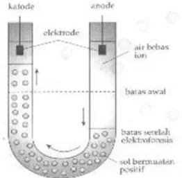 Gambar 5.3 Mekanisme elektroforesis 