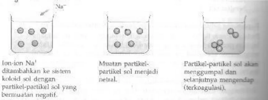 Gambar 5.4 Mekanisme koagulasi koloid  6.  Koloid Pelindung 