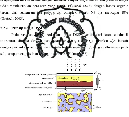 Gambar 2.3. Struktur dan komponen DSSC (Halme, 2002) 