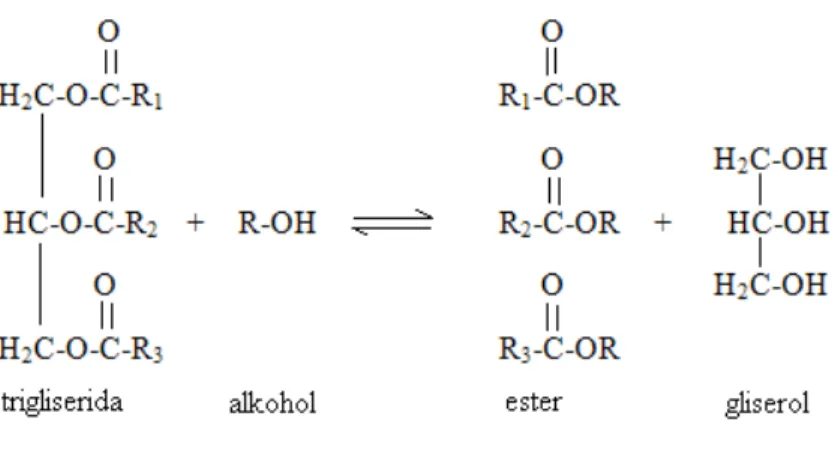 Gambar 1. Reaksi transesterifikasi  2.5 Sulfonasi 