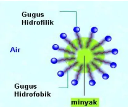 Gambar 2. Molekul surfaktan membentuk misel (a. Gugus hidrofilik dan hidrofobik  surfaktan; b