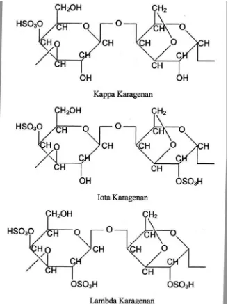Gambar 2.1 Struktur Kappa, Iota dan Lamda Karagenan 