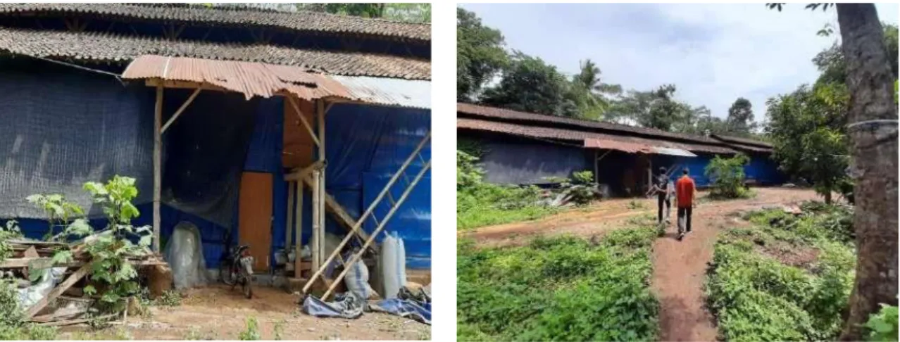 Gambar 1. Rumah untuk peternakan ayam dengan model close house yang  nampak dari luar milik bapak Sunardi di Kelurahan Wonolopo Kecamatan Mijen 