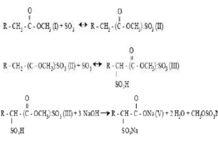 Gambar 6. Mekanisme reaksi sulfonasi metil ester pada reaktor failing film. 