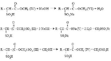 Gambar 7.  Reaksi pembentukan MES, disalt dan reesterifikasi  Sumber:  Sheats dan Mac Arthur (2002) 