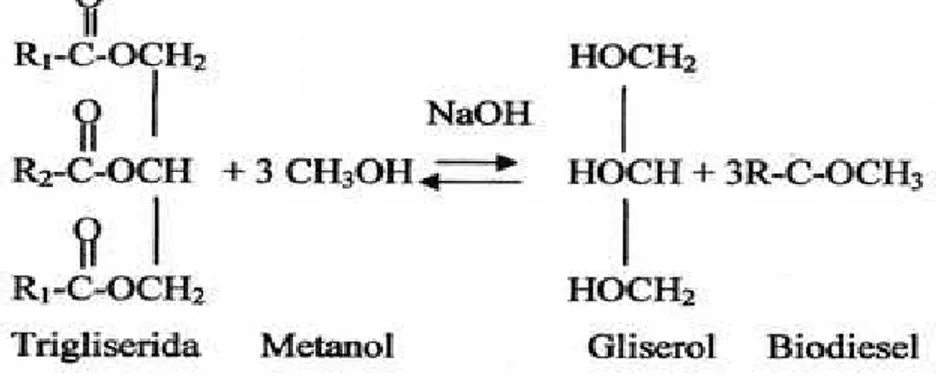 Gambar 3.  Reaksi transesterifikasi antara trigliserida dan metanol   Sumber :  Hart (1990) 