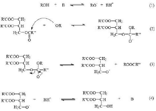 Gambar 4.  Mekanisme transesterifikasi minyak dengan katalis basa. 