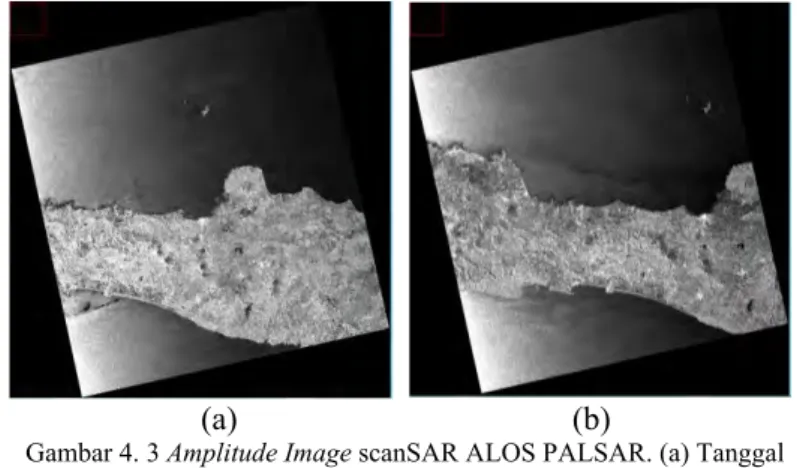 Gambar 4. 3 Amplitude Image scanSAR ALOS PALSAR. (a) Tanggal  akuisisi 10 Mei 2009, (b) Tanggal akuisisi 13 September 2009 