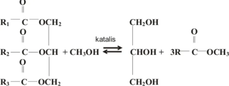 Gambar 5. Reaksi transesterifikasi trigliserida menjadi alkil ester             (Hargreaves, 2003) 