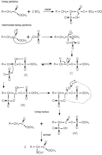 Gambar 8  Mekanisme reaksi sulfonasi ME menurut Lewandowski dan Schwuger  (2003) 