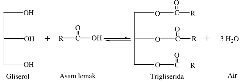 Gambar 2.2. Reaksi Pembentukan Trigliserida (Denniston, 2001) 