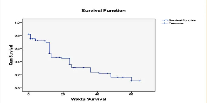 Gambar 1. Probabilitas  Ketahanan Hidup Pasien Kanker Payudara di RSUP.DR. Wahi- Wahi-din Sudirohusodo Makassar Tahun 2014 