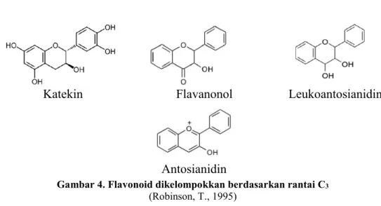 Gambar 4. Flavonoid dikelompokkan berdasarkan rantai C 3