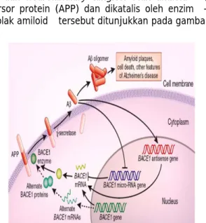 Gambar 2.1 Proses pembentukan plak amiloid 
