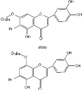 Gambar 7. Dugaan Struktur Flavonoid Hasil  Isolasi 