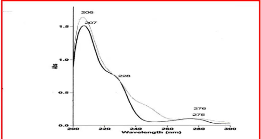 Gambar IV.4 Spektrum UV senyawa 2 