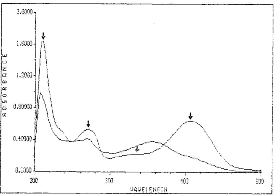 Gambar 4. Spektrum UV senyawa LiM dalam etanol + NaOH 