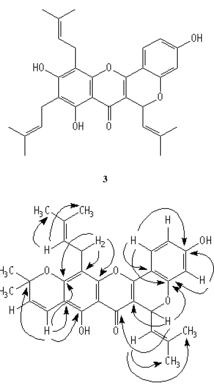 Gambar 1   Beberapa korelasi HMBC yang utama senyawa 1