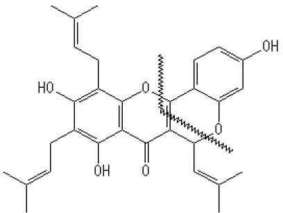 Gambar 3  Saran biogenesis artelastokromen (1) dan artelastin (3)  dari β-resorsilaldehid (2) 