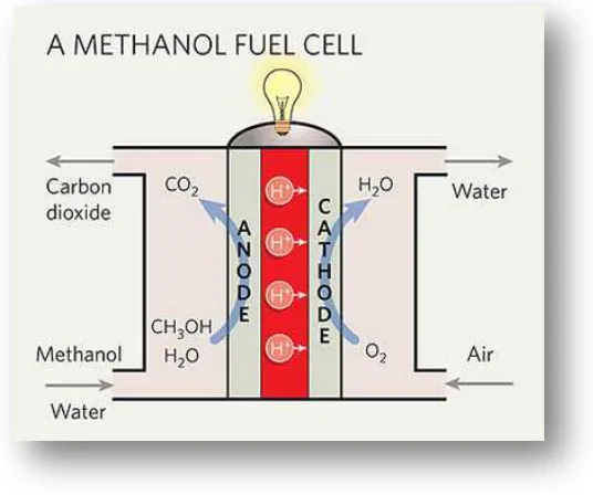 Gambar 2.2 Alur kerja Direct methanol fuel cell (DMFC) 