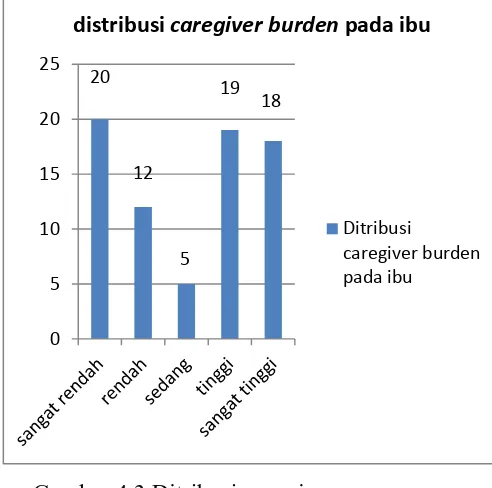 Gambar 4.3 Ditribusi caregiver 