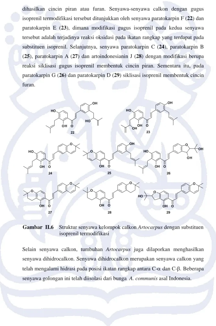 Gambar  II.6    Struktur senyawa kelompok calkon Artocarpus dengan substituen     isoprenil termodifikasi 