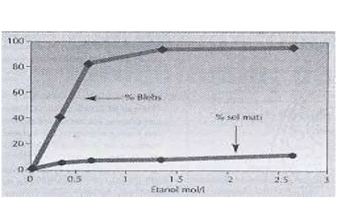 Gambar 4. Persentase pembentukan blebs dan kematian sel  setelah terpapar dengan berbagai konsentrasi etanol  