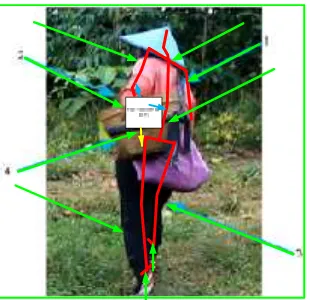 Gambar 4. Gambar Simulasi system pembebanan dan reaksi pada pemetik kopi BangelanGaris merah merupakan gambar stutur tulang garis hijau titik reksi dari pembebanan  daribakul/rinjing kopi dan garis kuning berupa beban rinijng dan garis biru reaksi dittitk tubuh