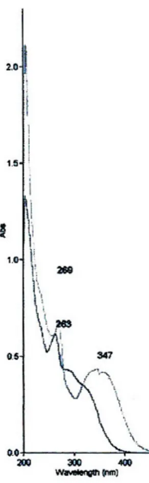 Gambar 4.5 Spektrum UV (MeOH) senyawa kudraflavon C setelah ditambah pereaksi geser  NaOH 