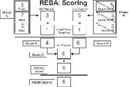 Gambar 1. Langkah analisis REBA