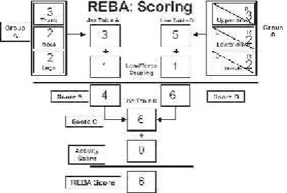 Gambar 1. Langkah analisis REBA