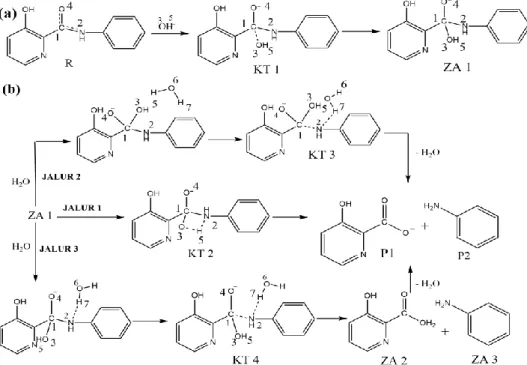 Gambar 1   Prediksi Jalur Reaksi Hidrolisis Senyawa N-fenil-3-hidroksi pikolinamida dalam kondisi  basa
