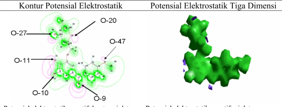 Gambar 4.3  Potensial Elektrostatik Molekul Falerin 