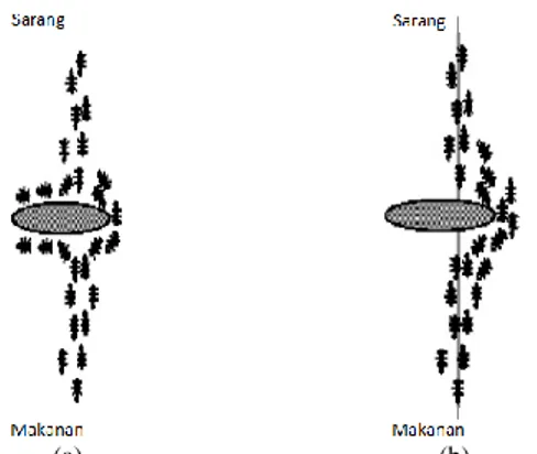 Gambar 1. Prinsip dari algoritma ACO : (a) Kelompok semut akan  mencari jalan menuju makanan dan kembali ke sarang, (b) rute yang  terpendek akan memiliki lebih banyak pheromone karena pada rute  terpendek, semut akan lebih banyak bolak balik antara sarang